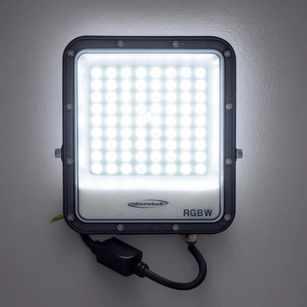 FARO LED LUCE BIANCA + RGB W 25 PROIETTORE PER ESTERNO GIARDINO TELECOMANDO IP65