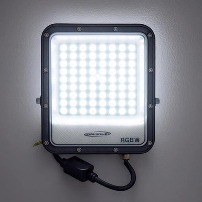 FARO LED LUCE BIANCA + RGB W 25 PROIETTORE PER ESTERNO GIARDINO TELECOMANDO IP65