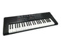 PIANOFORTE TASTIERA MUSICALE PIANOLA . ELETTRICA 49 TASTI BIANCHI E NERI MICROFONO